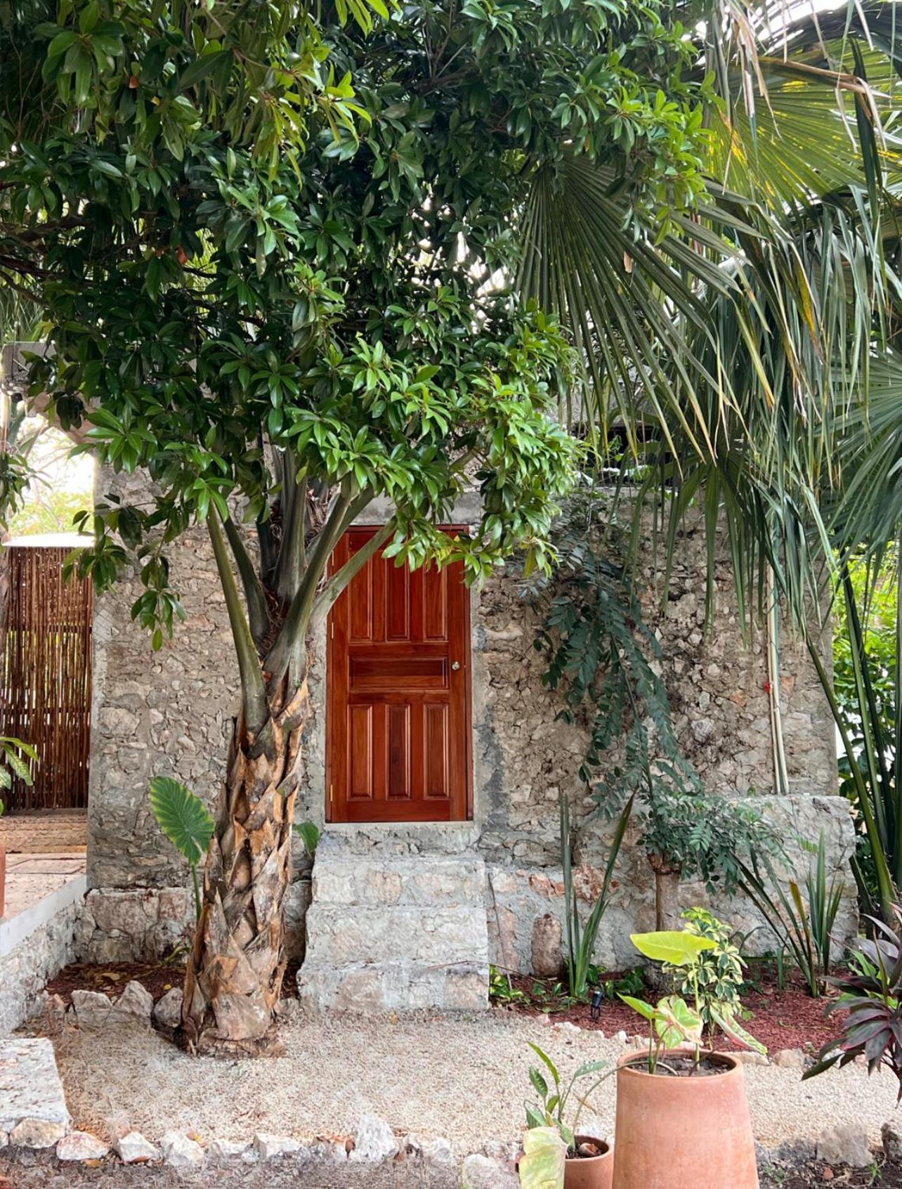 Hotel Shamalay - Nomad Experience Bacalar Esterno foto